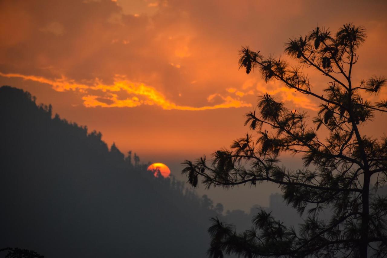 Aachman Nature Valley Resort, Mashobra Shimla Zewnętrze zdjęcie